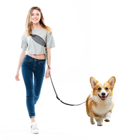Crossbody Hand Free Dog Leash with Pouch, Reflective Waist Pouch, Adjustable Shoulder Dog Leash 3.6-6.5ft with Detachable Car Sa